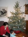 Christmas tree in Germany