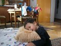 The new Lion Pillow